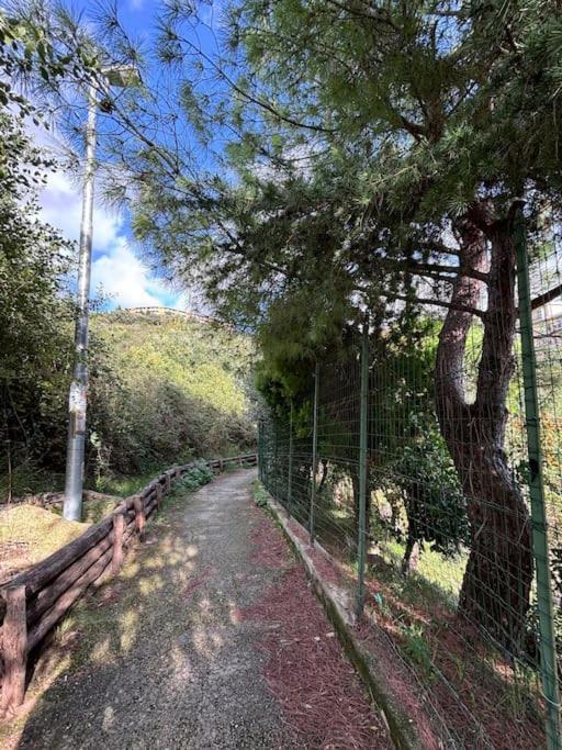 La Casetta Di Roby Con Giardino Privato Génova Exterior foto